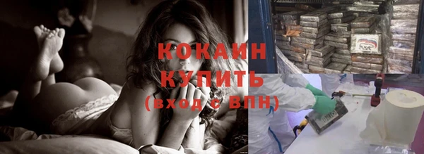 прущие грибы Богородицк