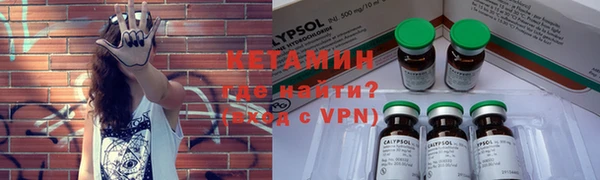 прущие грибы Богородицк