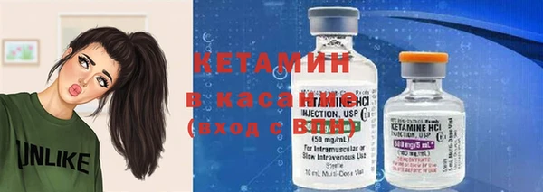 прущие грибы Богородицк