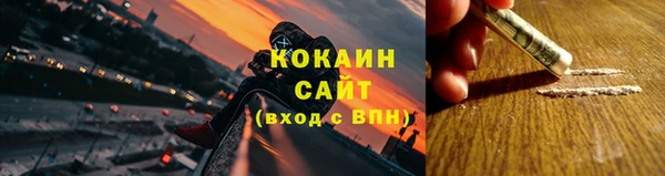 прущие грибы Богородицк