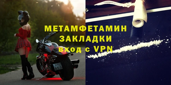 прущие грибы Богородицк