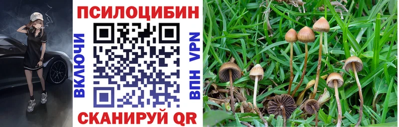 Псилоцибиновые грибы ЛСД  Бугульма 